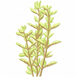 Flowers And Tree Embroidery Design 11